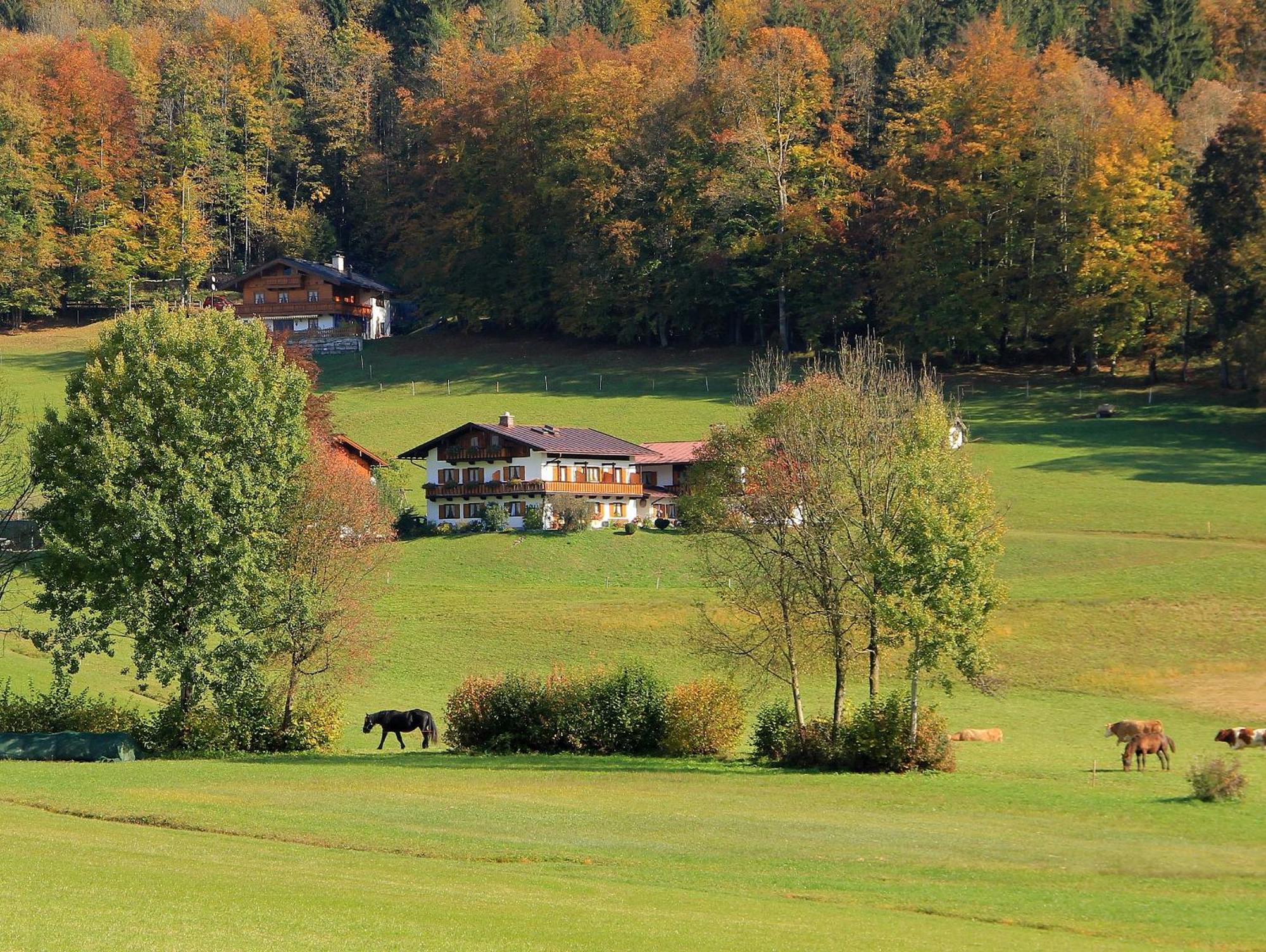 Apartmán Obergoebllehen Schönau am Königssee Exteriér fotografie